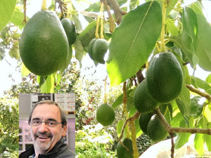 Hermann Gillmeyer – ein Genussentdecker ontour